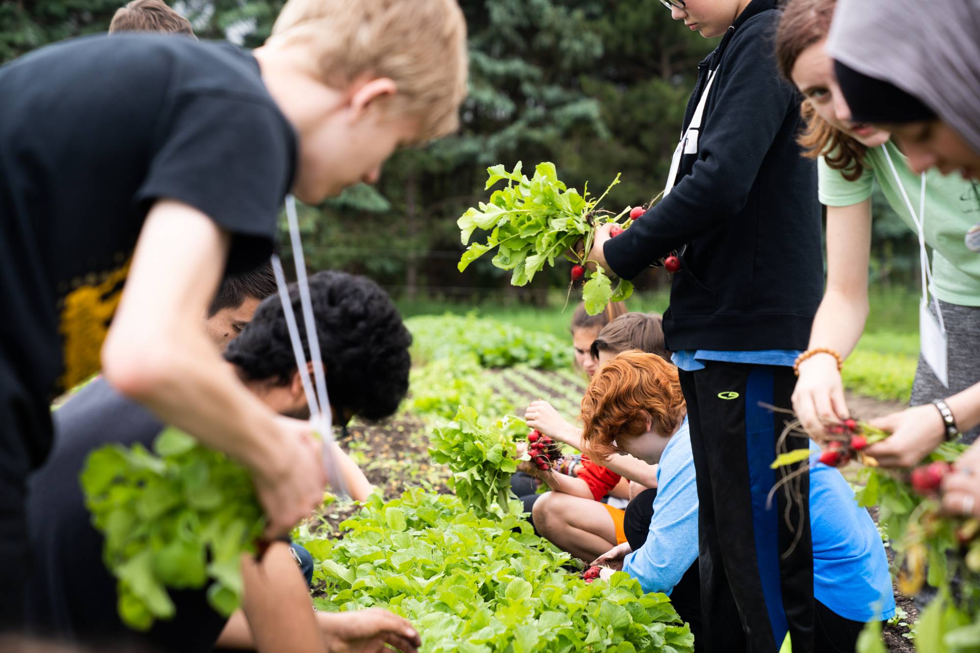 Students work on crops at Plainsong Farm